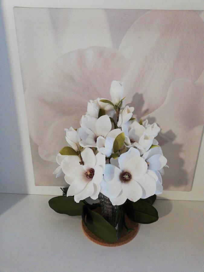 Le Magnolie * Gallarate