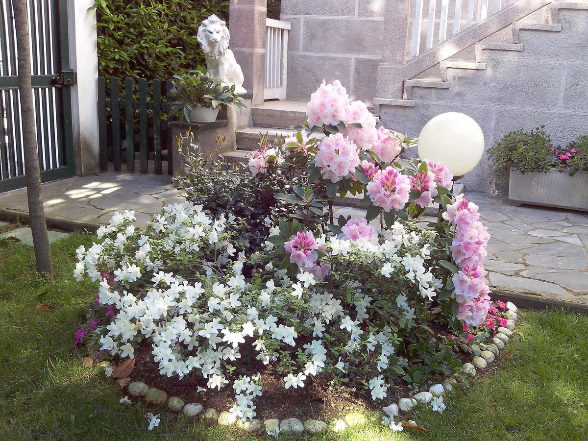 Le Magnolie * Gallarate
